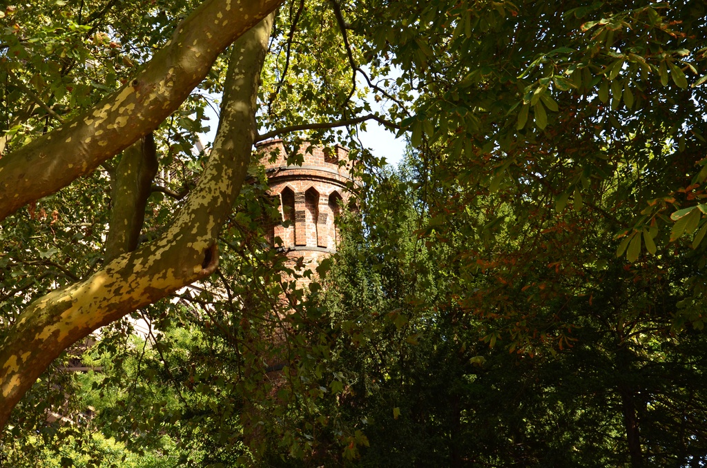 2015-08 Paris/DSC_0097.JPG